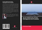 Acç?o Molecular Proto-Oncogénica da Próstata
