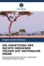 DIE UMSETZUNG DER RECHTE INDIGENER VÖLKER AUF NATIONALER EBENE