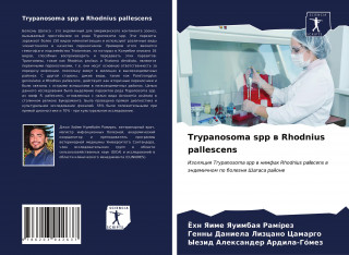 Trypanosoma spp w Rhodnius pallescens