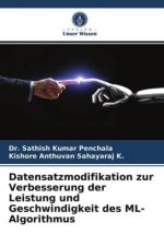 Datensatzmodifikation zur Verbesserung der Leistung und Geschwindigkeit des ML-Algorithmus