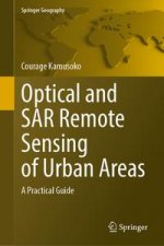 Optical and SAR Remote Sensing of Urban Areas
