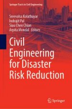 Civil Engineering for Disaster Risk Reduction