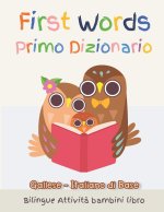 First Words Primo Dizionario Gallese-Italiano di Base. Bilingue Attivita bambini libro