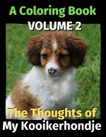 Thoughts of My Kooikerhondje
