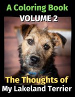 Thoughts of My Lakeland Terrier