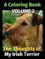 Thoughts of My Irish Terrier