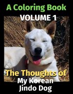 Thoughts of My Korean Jindo Dog