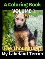 Thoughts of My Lakeland Terrier