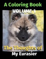 Thoughts of My Eurasier