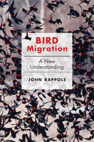 Bird Migration (John H. Rappole)()
