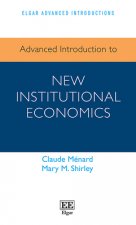 Advanced Introduction to New Institutional Economics