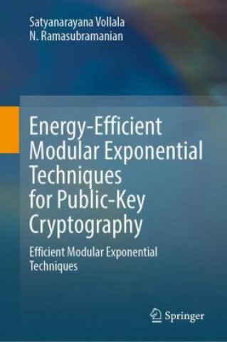 Energy-Efficient Modular Exponential Techniques for Public-Key Cryptography