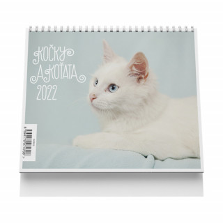 Kočky a koťata 2022 - stolní kalendář