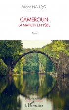 Cameroun la nation en péril