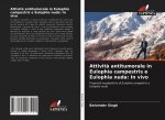 Attivit? antitumorale in Eulophia campestris e Eulophia nuda: In vivo