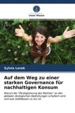 Auf dem Weg zu einer starken Governance für nachhaltigen Konsum