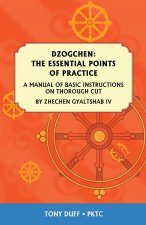 Essential Points of Practice