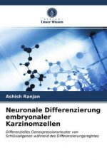Neuronale Differenzierung embryonaler Karzinomzellen