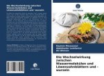 Die Wechselwirkung zwischen Wassermolekülen und Löwenzahnblättern und -wurzeln