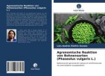 Agronomische Reaktion von Bohnensorten (Phaseolus vulgaris L.)