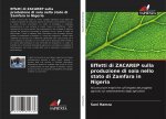 Effetti di ZACAREP sulla produzione di soia nello stato di Zamfara in Nigeria