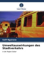 Umweltauswirkungen des Stadtverkehrs