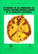 PALINOLOGIA DE LAS FORMACIONES DEL SILURICO SUPERIOR DEVONIC