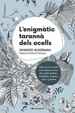 L'ENIGMATIC TARANNA DELS OCELLS