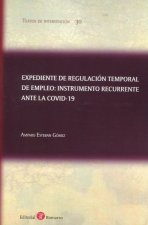 EXPEDIENTE DE REGULACION TEMPORAL DE EMPLEO: INSTRUMENTO RECURREN