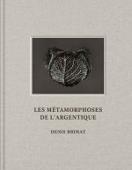 Les Métamorphoses de l'argentique - Denis Brihat