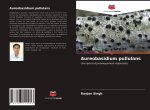 Aureobasidium pullulans