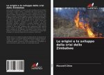 Le origini e lo sviluppo della crisi dello Zimbabwe