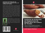 Avaliaç?o de Protocolos de Regeneraç?o de Batata Doce em Cultura de Tecidos