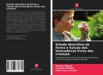 Estudo descritivo da forma e funç?o das brincadeiras livres das crianças.
