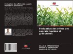 Évaluation des effets des engrais liquides et granulaires