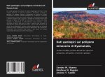 Dati geologici sul poligono minerario di Nyamukubi,
