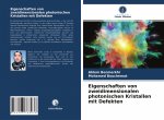 Eigenschaften von zweidimensionalen photonischen Kristallen mit Defekten