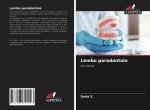 Lembo parodontale