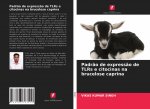 Padr?o de express?o de TLRs e citocinas na brucelose caprina