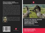 Stress em éguas quando temporariamente separadas de seus descendentes