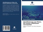 Identifizierung von Pilzen, die kutane Infektionen verursachen