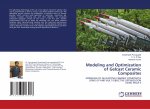 Modeling and Optimization of Gelcast Ceramic Composites