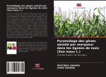 Pyramidage des g?nes assisté par marqueur dans les lignées de ma?s (Zea mays L.)