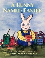 Bunny Named Easter