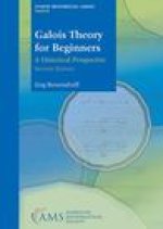 Galois Theory for Beginners