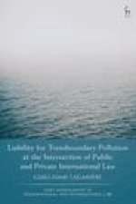 Liability for Transboundary Pollution at the Intersection of Public and Private International Law