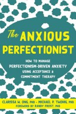 Anxious Perfectionist