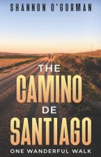 Camino de Santiago