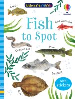 Fish to Spot