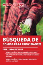 Busqueda de Comida Para Principiantes